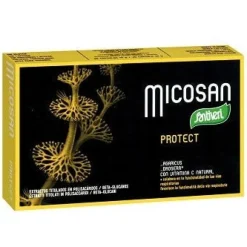 Micosan Protect 40 Capsule