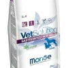 Monge VetSolution Gastrointestinal Linea Veterinaria Cibo Secco Cani Adulti 2kg
