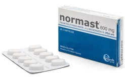 Normast 600mg 20 Compresse