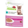 NT CAT K&Y MERLUZZO 85G