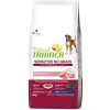 NT DOG SENS M/M MAIALE 12KG