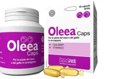 Oleea Caps 60 Capsule