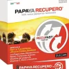 Papaya Recupero 14 Sticks
