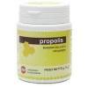 Pastiglie Propoli 100 Pezzi