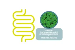 Petformance Fermenti Flora Mangime Complementare Dietetico Per Cani E Gatti 30 Compresse