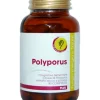 Polyporus Linea Plus 90 Compresse