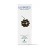 Promopharma Eleuterococco Soluzione Idroalcolica 50ml