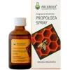 Propolgea Spray Bio 30ml