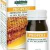 PROPOLI ESTRATTO TIT 60PAST