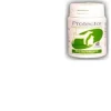 Protector Multivitaminico Per Cani E Gatti 40 Compresse