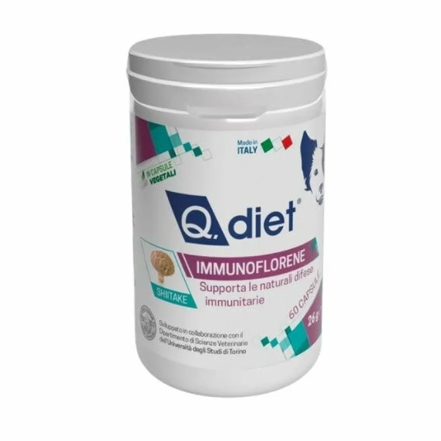 Q.Diet Immunoflorene 60 Capsule