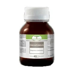Renaco Chagafungus 60 Capsule