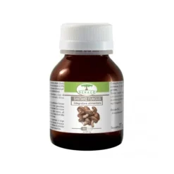 Renaco Shitake Fungus 60 Capsule