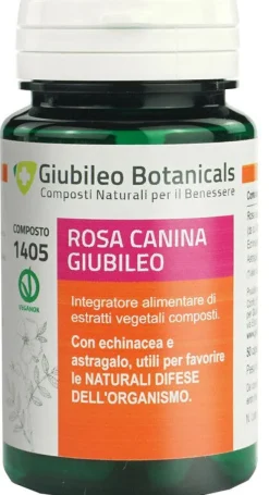 ROSA CANINA GIUBILEO 50CPS