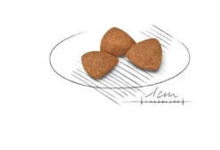 Royal Canin Crocchette Per Cani Adulti 12Anni+ Taglia Molto Piccola Sacco 1,5kg