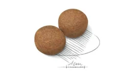 Royal Canin Crocchette Per Cani Adulti Taglia Grande Sacco 4kg