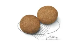 Royal Canin Crocchette Per Cani Adulti Taglia Media Sacco 15kg