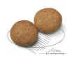 Royal Canin Crocchette Per Cani Adulti Taglia Media Sacco 4kg