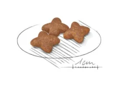 Royal Canin Crocchette Per Cani Adulti Taglia Mini Sacco 4kg