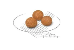 Royal Canin Crocchette Per Cani Adulti Taglia Molto Piccola Sacco 1,5kg
