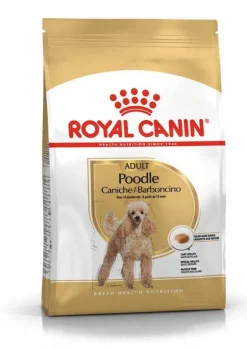 Royal Canin Crocchette Per Cani Barboncino Adulti Sacco 500g