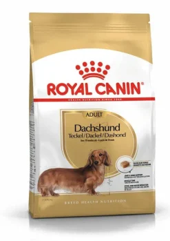 Royal Canin Crocchette Per Cani Bassotto Dachshund Adulti Sacco 1,5kg