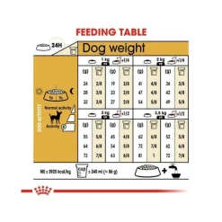 Royal Canin Crocchette Per Cani Chihuahua Adulti Sacco 500g