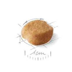 Royal Canin Crocchette Per Cani Yorkshire Terrier Adulti Sacco 7,5Kg