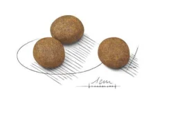 Royal Canin Crocchette Per Cuccioli Taglia Grande Sacco 15kg