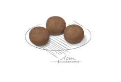 Royal Canin Crocchette Per Cuccioli Taglia Media Sacco 1kg