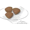 Royal Canin Crocchette Per Cuccioli Taglia Mini Sacco 2kg