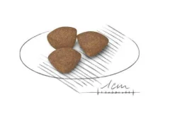 Royal Canin Crocchette Per Cuccioli Taglia Mini Sacco 4kg
