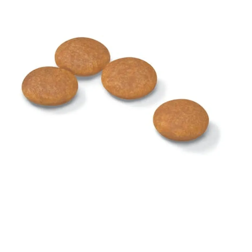 Royal Canin Dermacomfort Crocchette Per Cani Taglia Mini Sacco 3kg