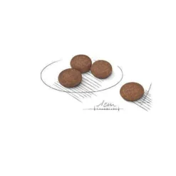 Royal Canin Digestive Care Crocchette Per Cani Mini Sacco 3kg