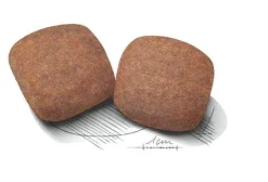 Royal Canin Giant Adult Crocchette Per Cani Adulti 18Mesi+ Taglia Gigante Sacco 15kg