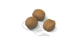 Royal Canin Giant Puppy Crocchette Per Cuccioli Taglia Gigante Sacco 15kg Fino A 8 Mesi