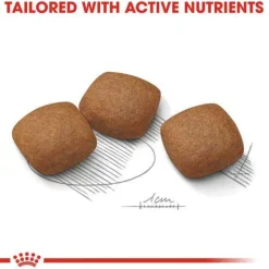 Royal Canin Joint Care Crocchette Per Cani Taglia Grande Sacco 3kg