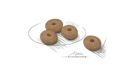 Royal Canin Light Weight Care Crocchette Per Cani Taglia Mini Sacco 1kg