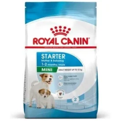 Royal Canin Mini Starter Mother & Babydog Crocchette Per Cagne/Cuccioli Taglia Piccola Sacco 8kg