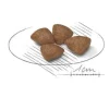 Royal Canin Starter Mother&Babydog Crocchette Per Cagne E Cuccioli Taglia Piccola Sacco 1kg