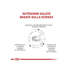 Royal Canin Veterinary Diet Gastrointestinal Cibo Secco Per Cani Adulti Sacco 2kg