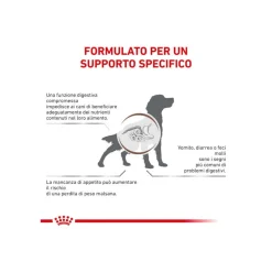 Royal Canin Veterinary Diet Gastrointestinal Cibo Secco Per Cani Adulti Sacco 7,5kg