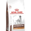 Royal Canin Veterinary Gastrointestinal Low Fat Crocchette Per Cani Adulti Sacco 6kg