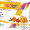 ROYAL ENERGY 10FL