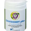 SAMBERRY PLUS 90TAV
