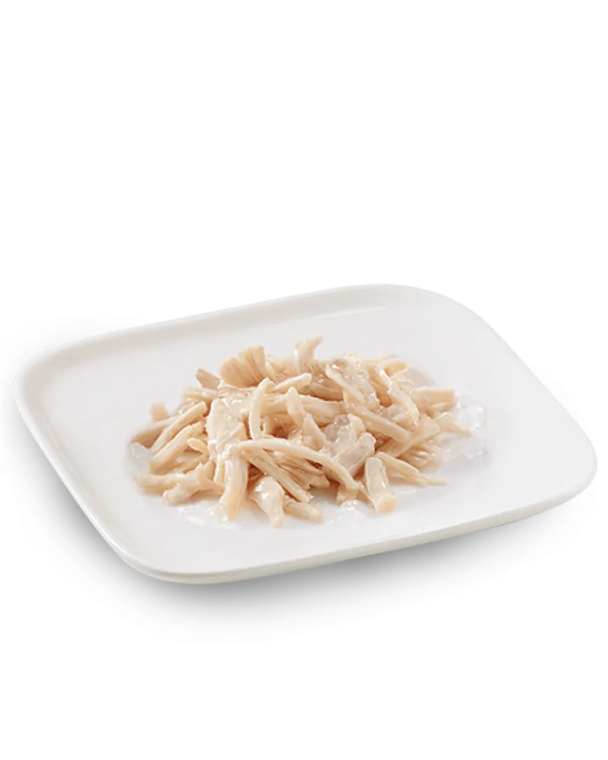 Schesir Filetti Di Pollo Cibo Umido Cani Adulti Lattina 150 g
