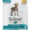 Schesir Maintenance Crocchette Con Pollo Per Cani Adulti Taglia Grande Sacco 12kg
