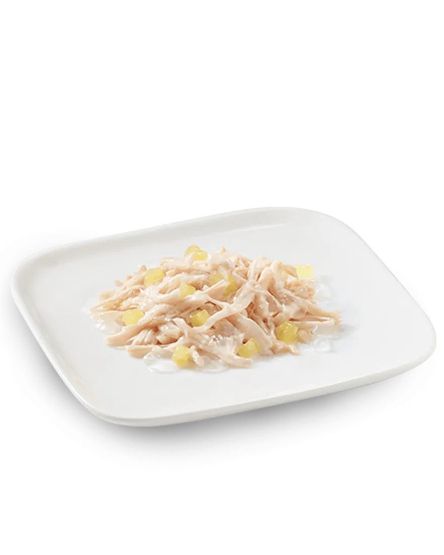 Schesir Pollo Con Ananas Cibo Umido Cani Adulti Lattina 150 g