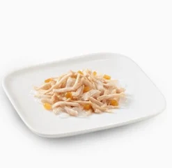 Schesir Pollo Con Papaya Cibo Umido Cani Adulti Lattina 150 g