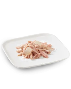 Schesir Tonnetto Con Aloe Cibo Umido Cani Cuccioli Lattina 150 g